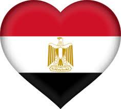 Dr Shrifa kenawy From Egypt